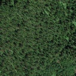 Satellite imagery of Mount Downing, CA