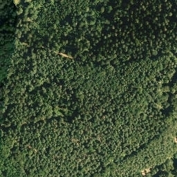 Satellite imagery of Stüterberg, DE