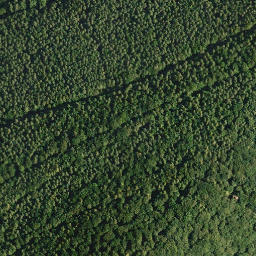 Satellite imagery of Hahnacker Kopf, DE