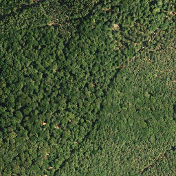 Satellite imagery of Dreispitz, DE