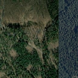 Satellite imagery of Buchwaldkopf, DE