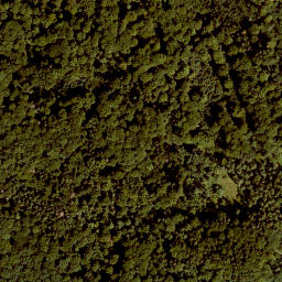 Satellite imagery of Lindenbühl, DE