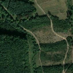 Satellite imagery of Plíškovec [Poličná], CZ