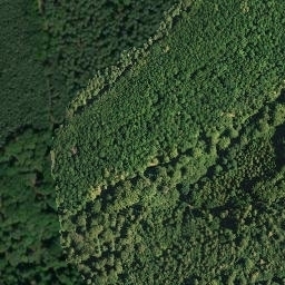 Satellite imagery of Stüterberg, DE