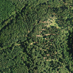 Satellite imagery of Stüterberg, DE