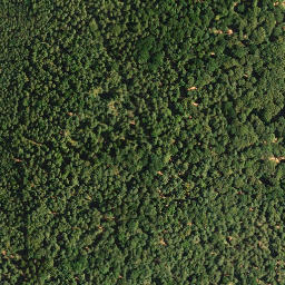 Satellite imagery of Dreispitz, DE