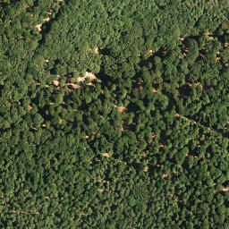 Satellite imagery of Dreispitz, DE
