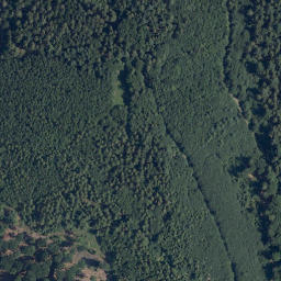 Satellite imagery of Buchwaldkopf, DE