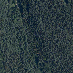 Satellite imagery of Buchwaldkopf, DE