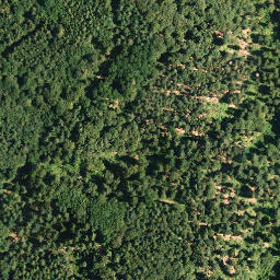 Satellite imagery of Stüterberg, DE