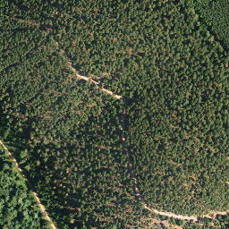 Satellite imagery of Hahnacker Kopf, DE