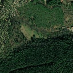 Satellite imagery of Wachenheim Castle, DE