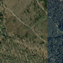 Satellite imagery of Buchwaldkopf, DE