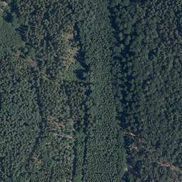 Satellite imagery of Buchwaldkopf, DE