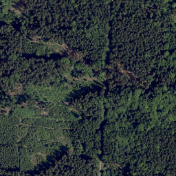 Satellite imagery of Kleeberg, DE