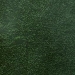 Satellite imagery of Kříb E [Radenice], CZ