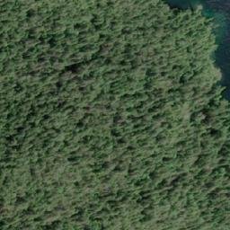 Satellite imagery of Driver Point, CA