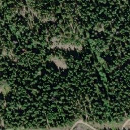 Satellite imagery of Mount D'Arcy, CA