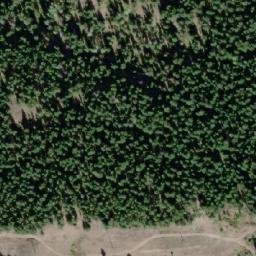 Satellite imagery of Mount D'Arcy, CA
