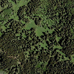 Satellite imagery of Mount Backus, CA