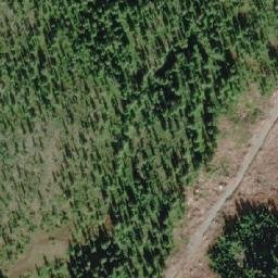 Satellite imagery of Mount Bueby, CA