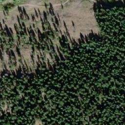Satellite imagery of Mount D'Arcy, CA
