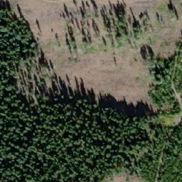 Satellite imagery of Mount D'Arcy, CA
