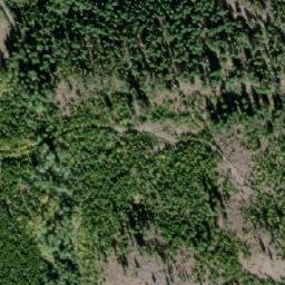 Satellite imagery of Mount D'Arcy, CA