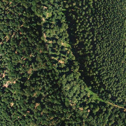 Satellite imagery of Langer Scheidberg, DE
