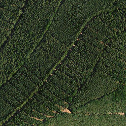Satellite imagery of Rindskehler Kopf, DE