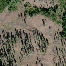 Satellite imagery of Mount D'Arcy, CA
