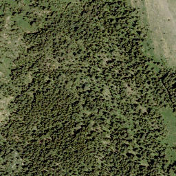 Satellite imagery of Mount Backus, CA
