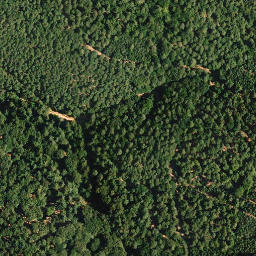 Satellite imagery of Becherskopf, DE