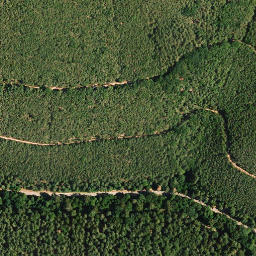 Satellite imagery of Rindskehler Kopf, DE