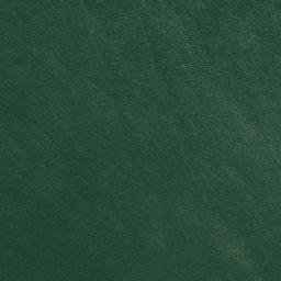 Satellite imagery of Zamek w Czorsztynie, PL