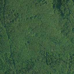 Satellite imagery of survey_point, PL
