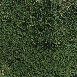 Satellite imagery of Drachenfels, DE