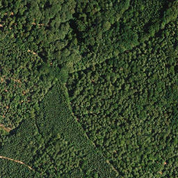 Satellite imagery of Becherskopf, DE