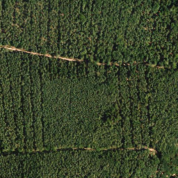 Satellite imagery of Arensberg, DE