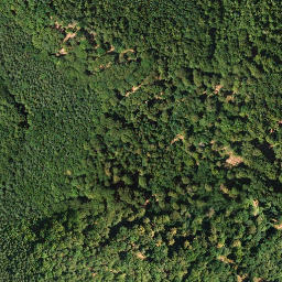 Satellite imagery of Drachenfels, DE