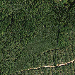 Satellite imagery of Becherskopf, DE