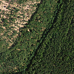 Satellite imagery of Seekopf, DE