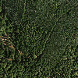 Satellite imagery of Plankenberg, DE