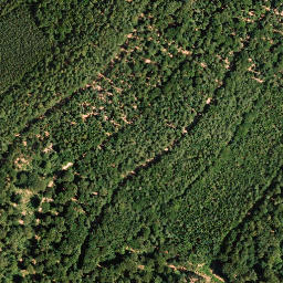 Satellite imagery of Plankenberg, DE
