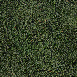 Satellite imagery of Arensberg, DE