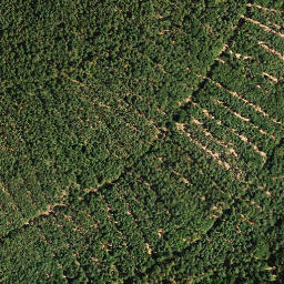 Satellite imagery of Arensberg, DE