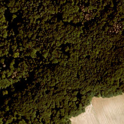 Satellite imagery of Ernhofer Berg, DE