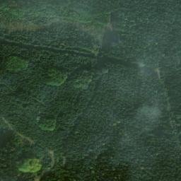 Satellite imagery of Spálený kopec [Pikárec], CZ