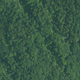 Satellite imagery of survey_point, PL