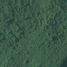 Satellite imagery of survey_point, PL